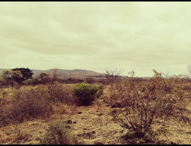 FARM FOR SALE IN MANGONDI